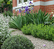 Middle Park Cottage Garden: image 2