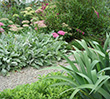 Middle Park Cottage Garden: image 4