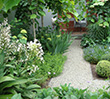 Middle Park Cottage Garden: image 5