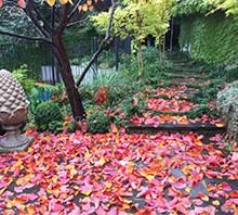 Romantic Kew Garden